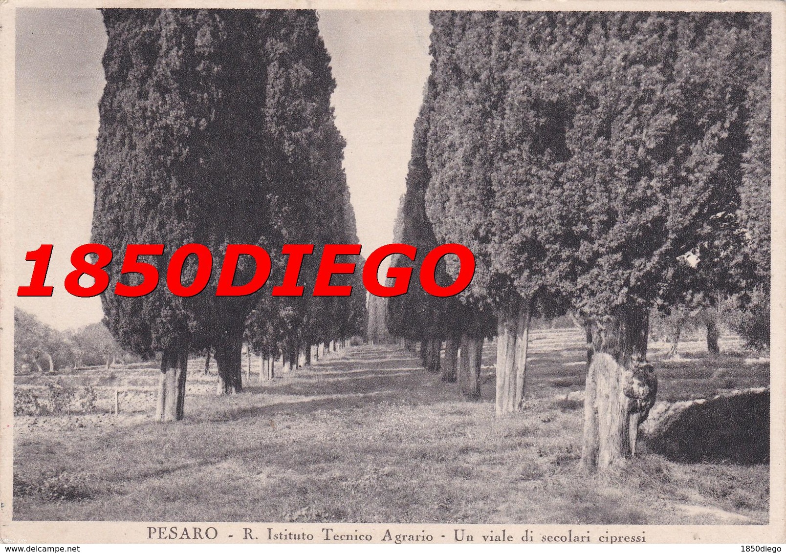 PESARO - R- ISTITUTO TECNICO AGRARIO F/GRANDE VIAGGIATA 1935 ANIMAZIONE - Pesaro