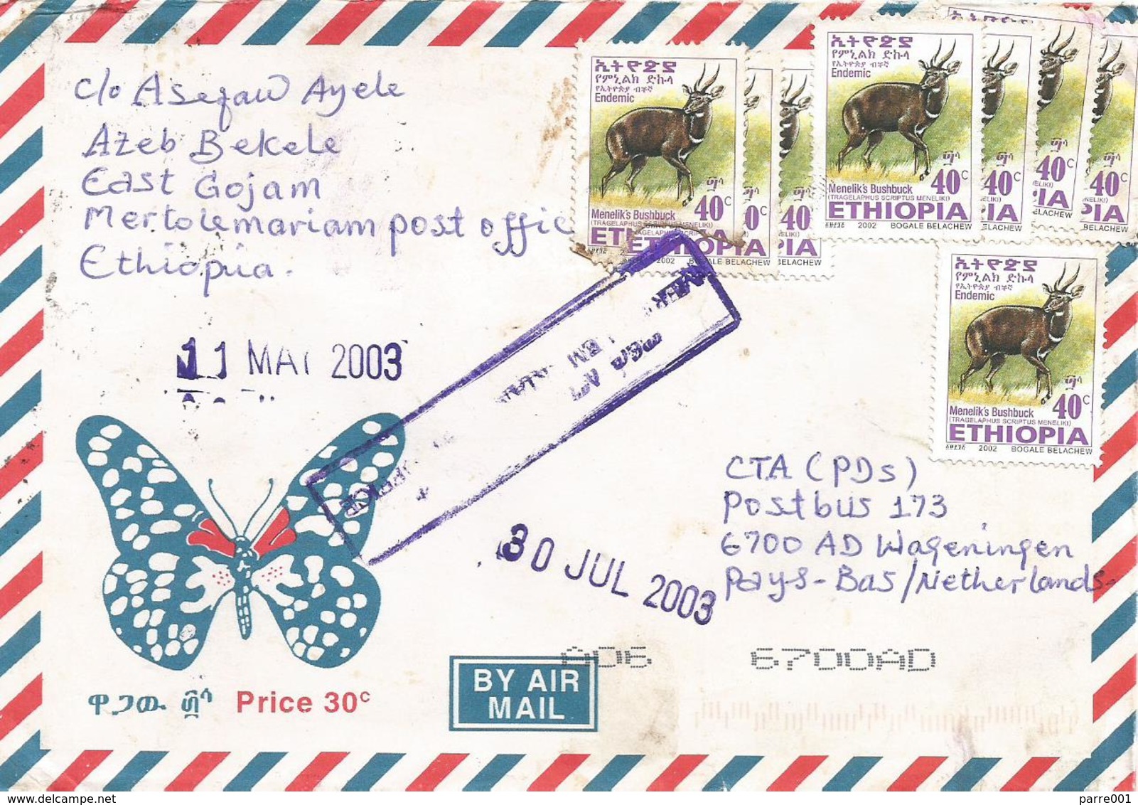 Ethiopia 2003 Mertolemariam Bushbuck Cover - Ethiopië