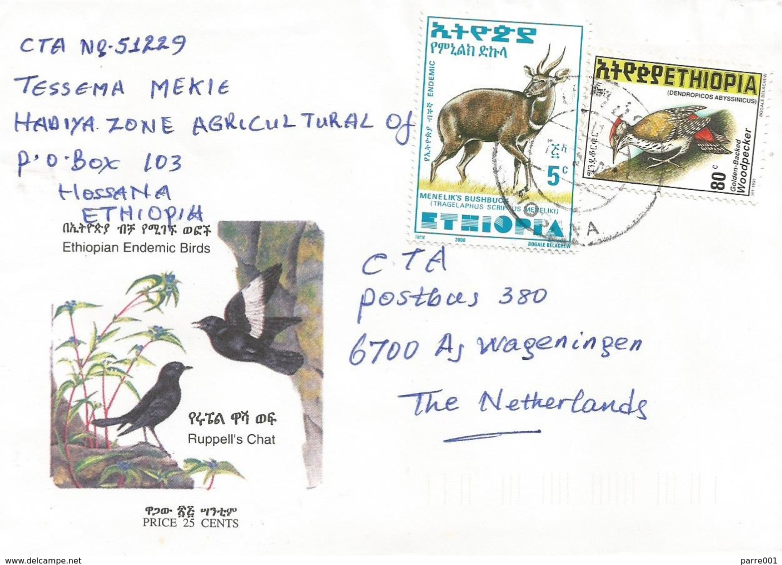 Ethiopia 2000 Hosana Woodpecker Bushbuck Cover - Ethiopië