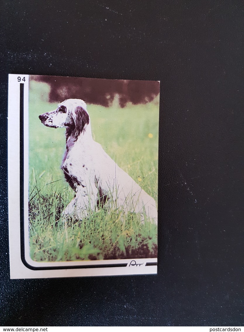 Hunting Serie - Dog - Setter -   - Small Calendar -  1994 - Petit Format : 1991-00