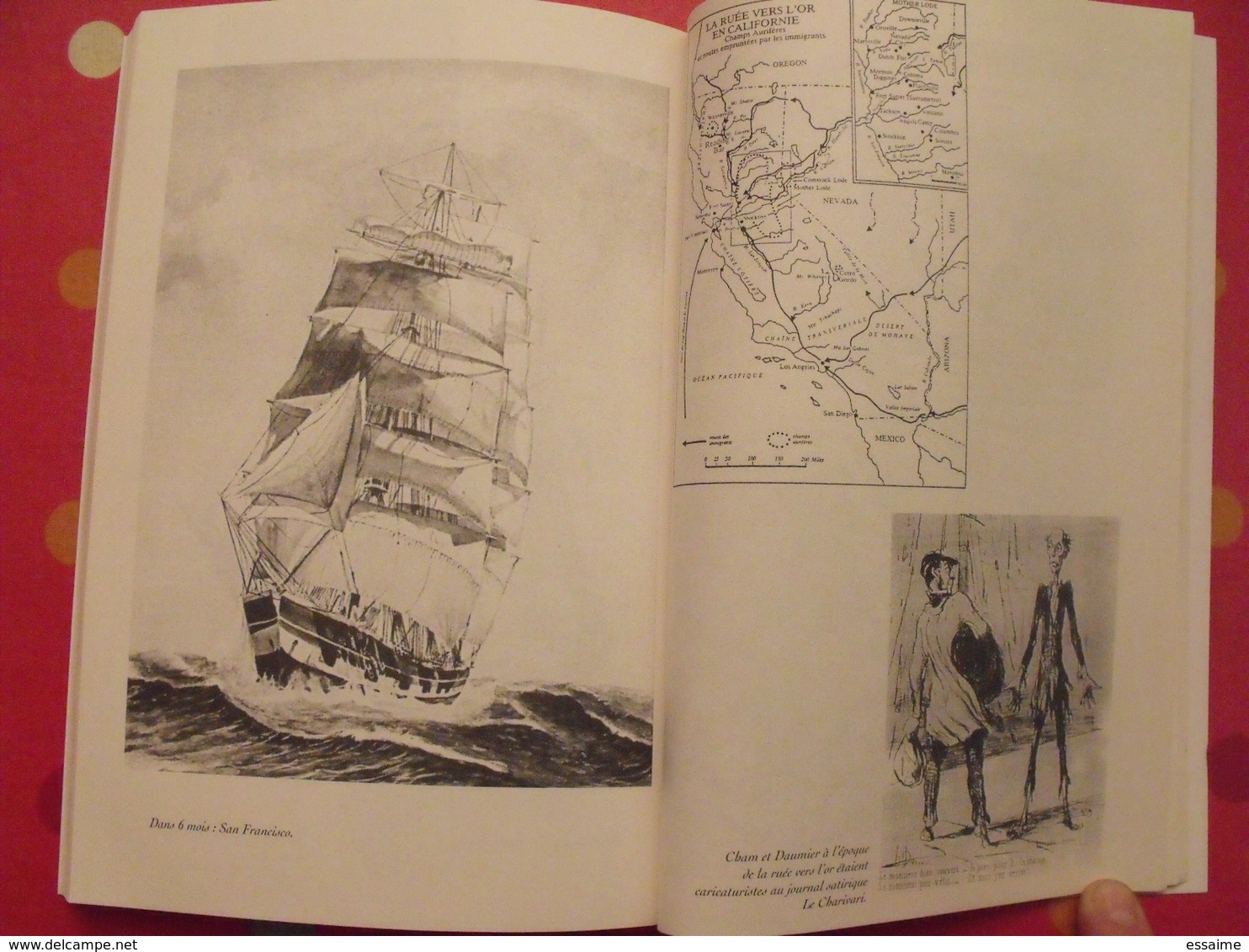 les voiles de la misère. Paul Malet. les sarthois, Mayennais et Angevins de la ruée vers l'or. Cheminements 2000