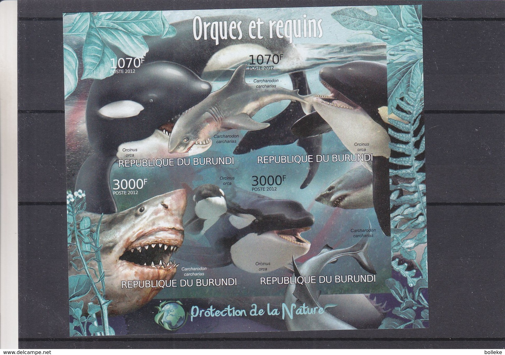 Orques - Requins - Burundi - COB BF 327 ** - MNH - NON Dentelé - Protection De La Nature - Valeur 36 Euros - Neufs
