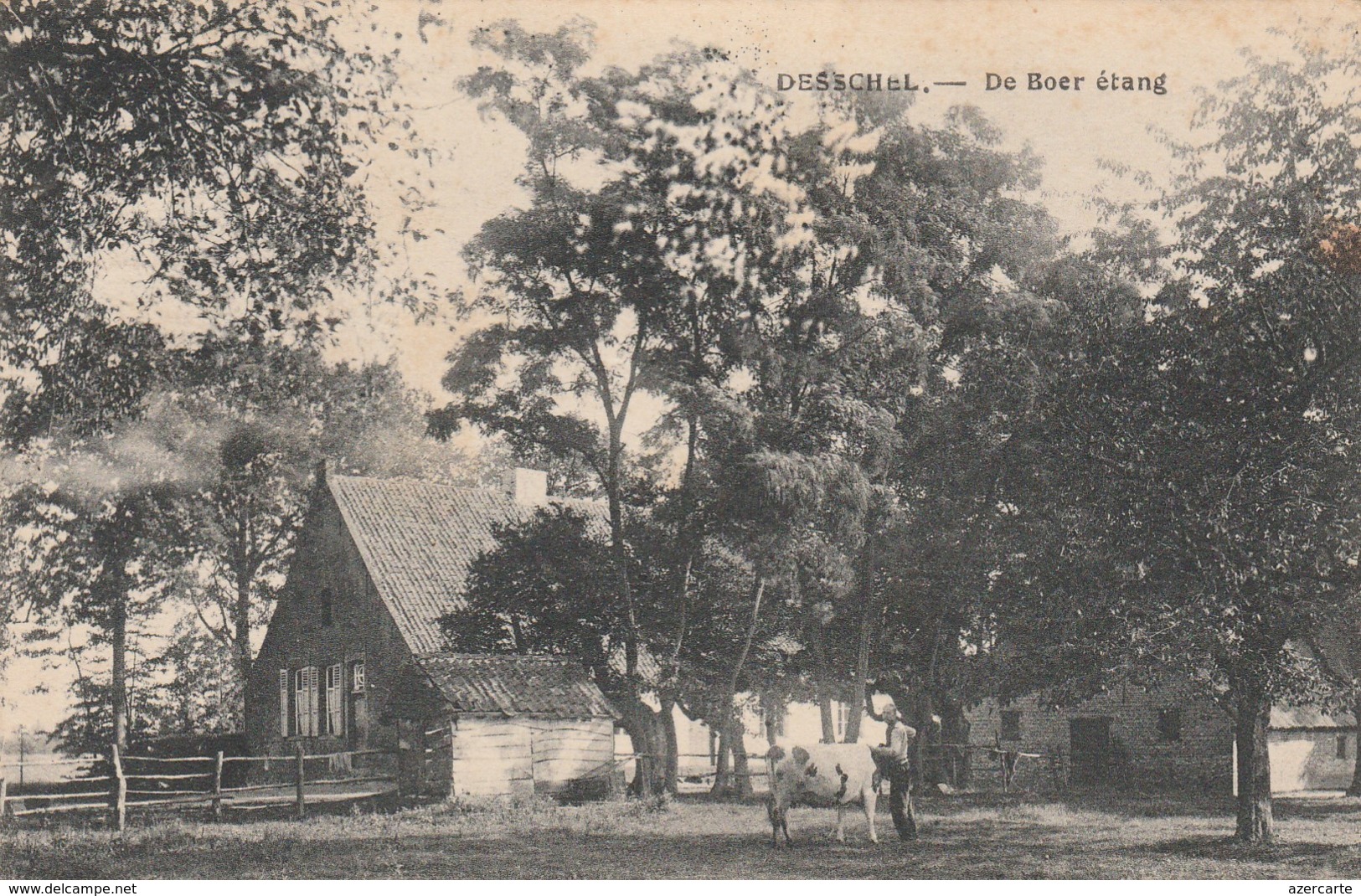 Dessel , Desschel  ,  De Boer  étang - Dessel