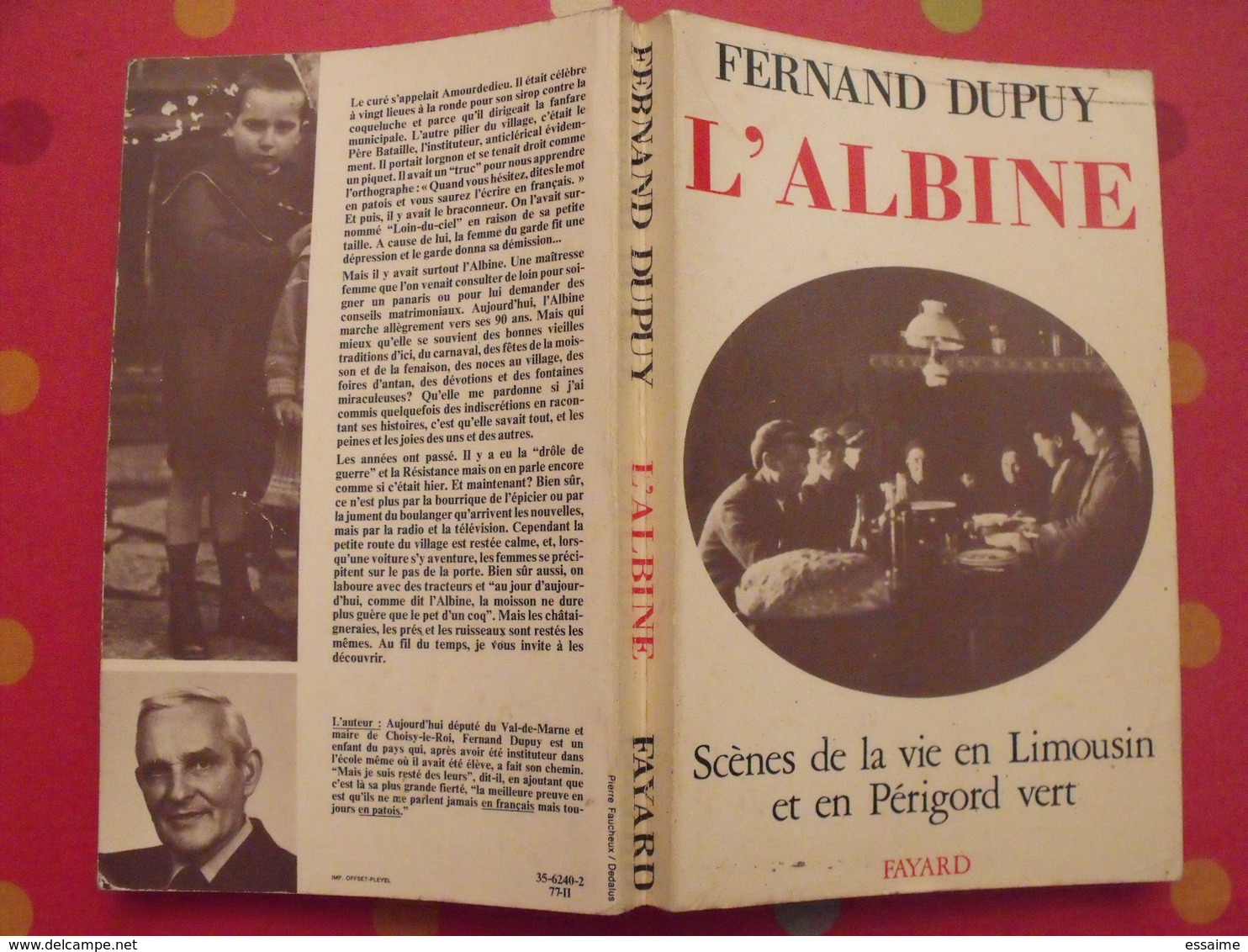 L'Albine. Fernand Dupuy. Scènes De La Vie En Limousin Et En Périgord Vert. Fayard 1977. Bien Illustré - Limousin