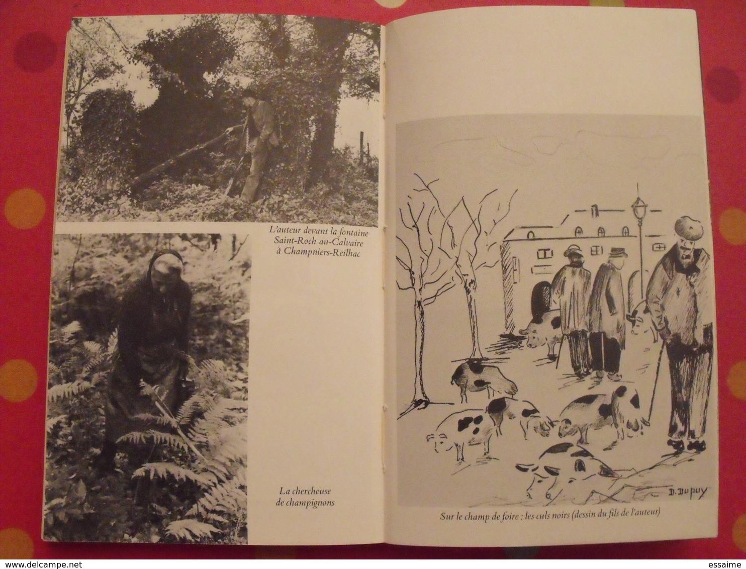 L'Albine. Fernand Dupuy. Scènes de la vie en Limousin et en Périgord vert. Fayard 1977. bien illustré
