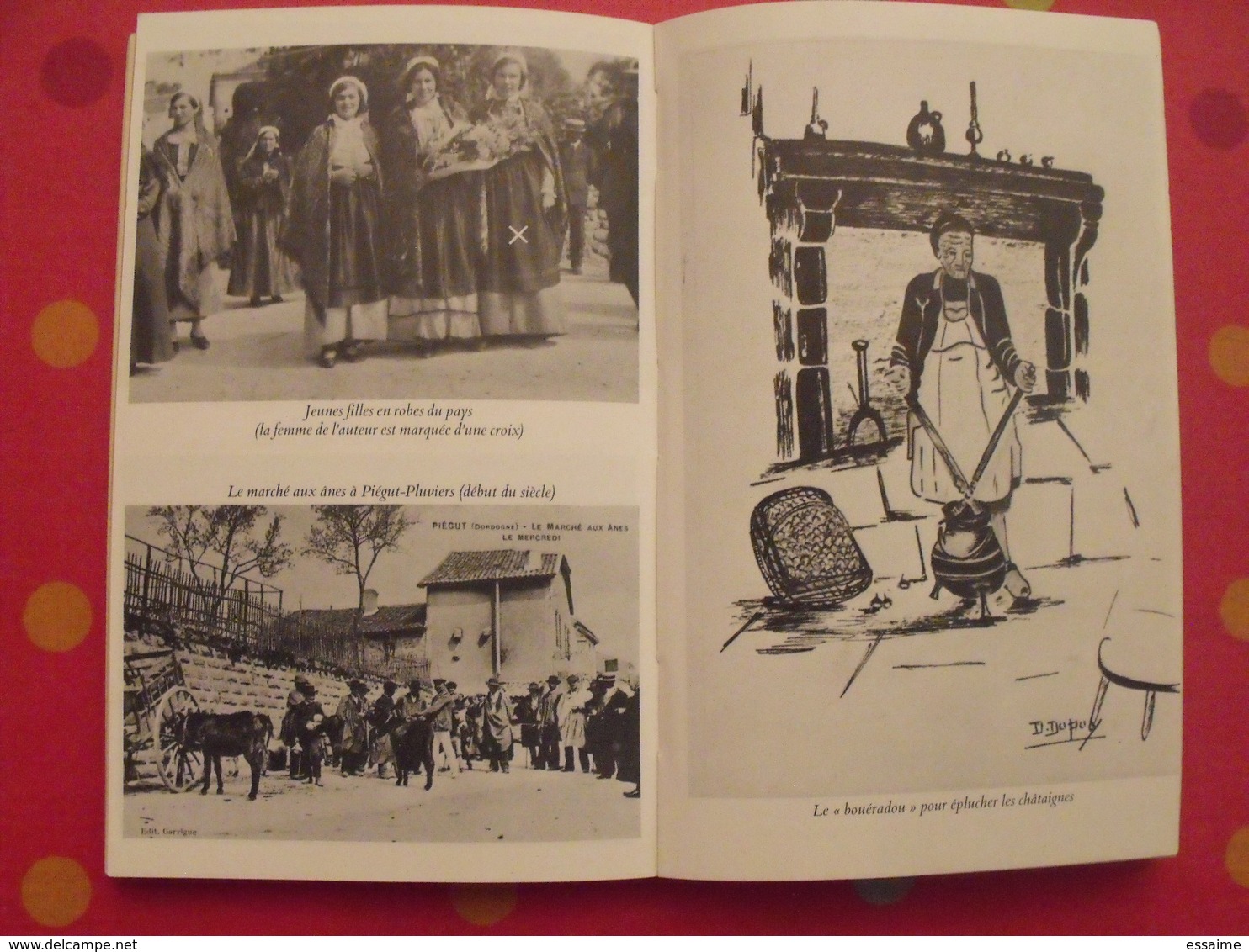 L'Albine. Fernand Dupuy. Scènes de la vie en Limousin et en Périgord vert. Fayard 1977. bien illustré