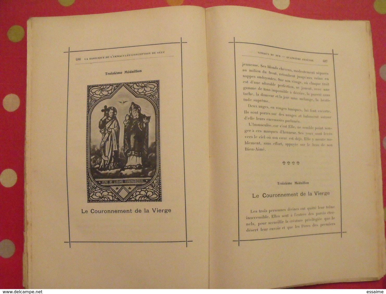 la basilique de l'immaculée-conception de Séez. D. Hugot. Maurin, Paris, 1904