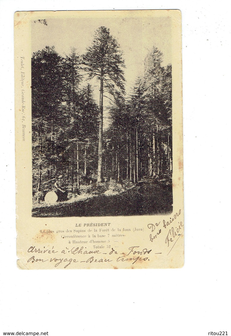 Cpa - Excursion Franche-Comté - LE PRÉSIDENT Plus Gros Sapin Foret De JOUX Doubs - 1902 - Animation - Arbres