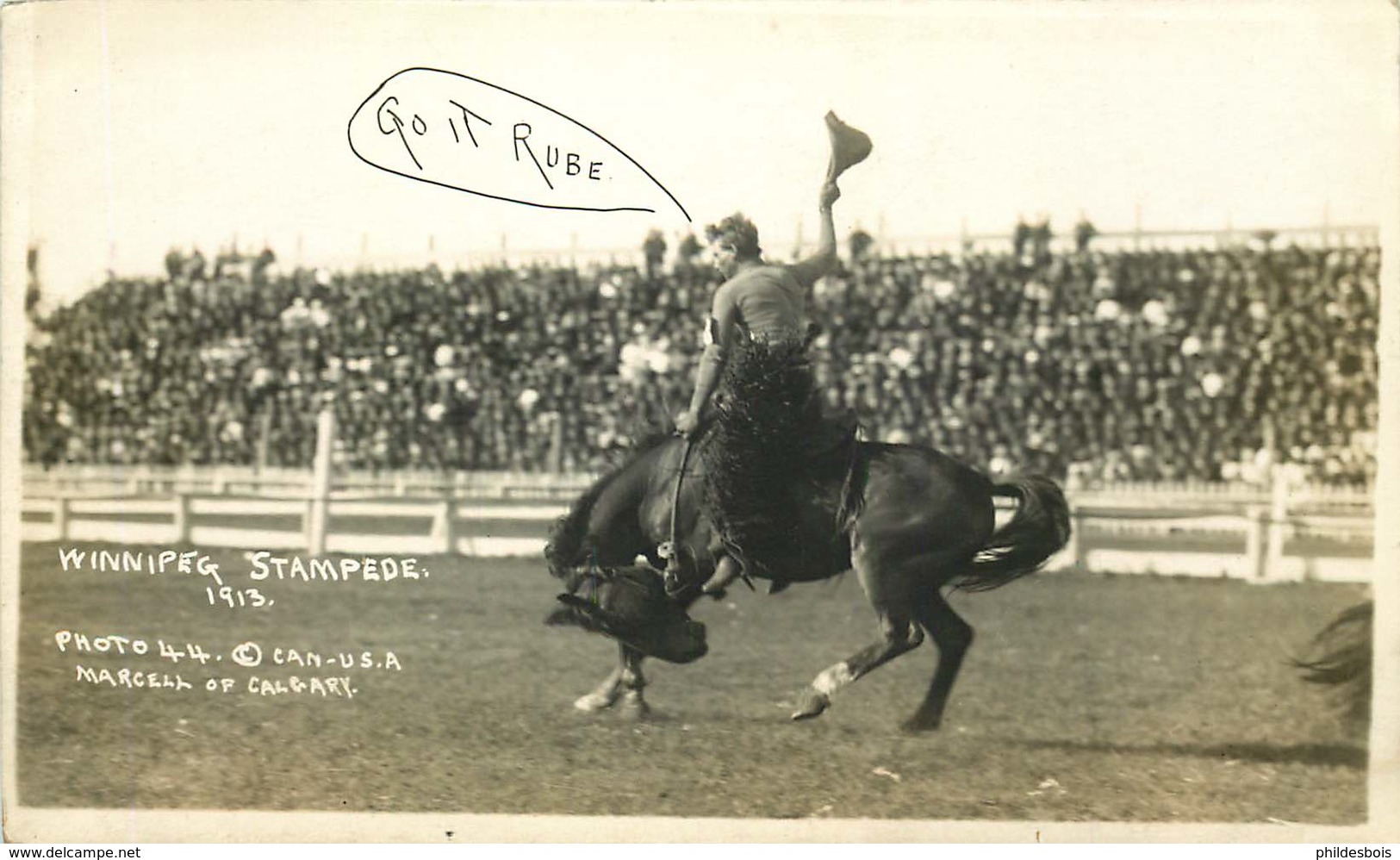 CANADA  WINNIPEG  RODEO COWBOYS - Winnipeg