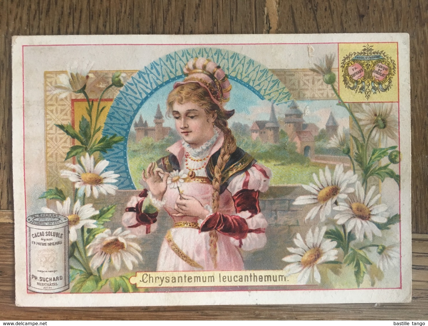 CHROMO CHOCOLAT SUCHARD S53 1897 Flower Girls Femmes Fleurs Chrysantenum Leucanthenum - Suchard