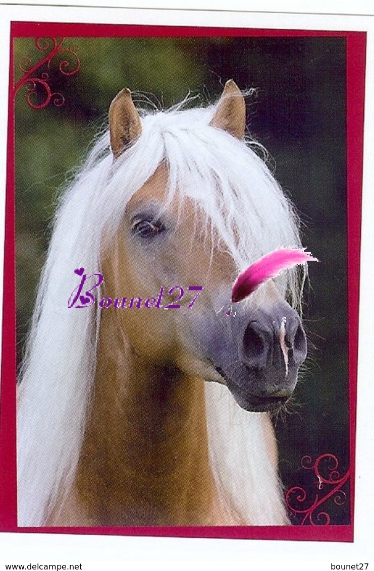 Image Autocollant PANINI Horse Les CHEVAUX Une Aventure Incroyable 102/208 - Altri & Non Classificati