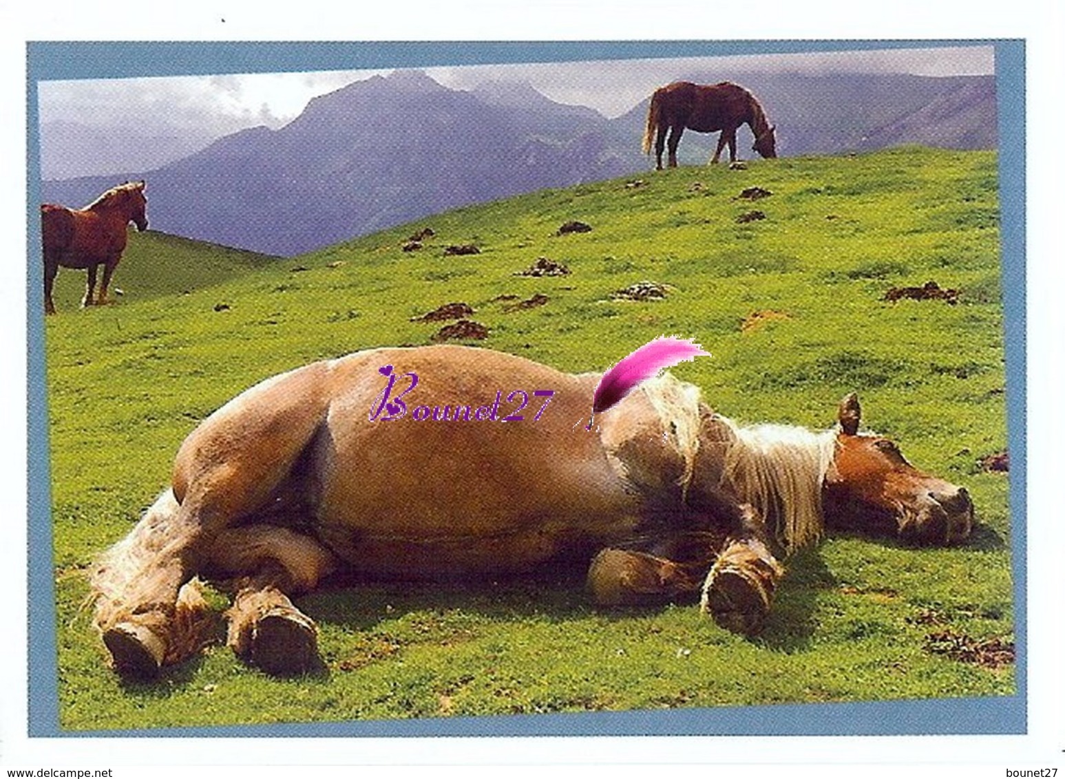 Image Autocollant PANINI Horse Les CHEVAUX Une Aventure Incroyable 127/208 - Otros & Sin Clasificación