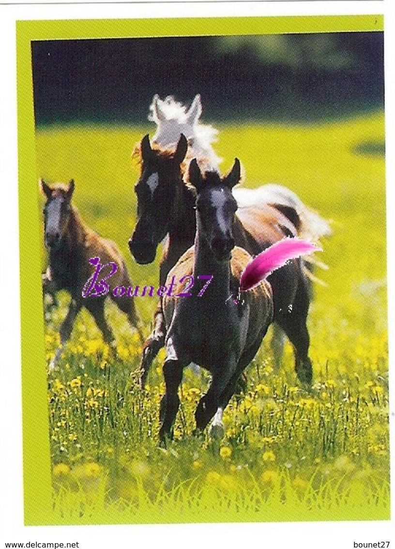 Image Autocollant PANINI Horse Les CHEVAUX Une Aventure Incroyable 16/208 - Otros & Sin Clasificación