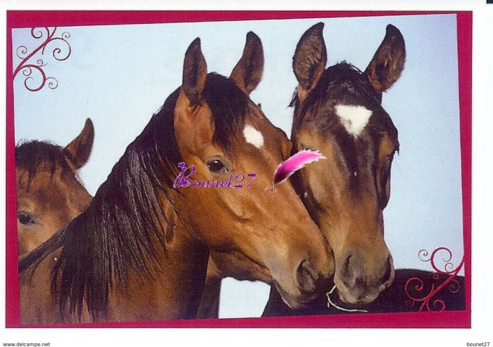 Image Autocollant PANINI Horse Les CHEVAUX Une Aventure Incroyable 99/208 - Otros & Sin Clasificación