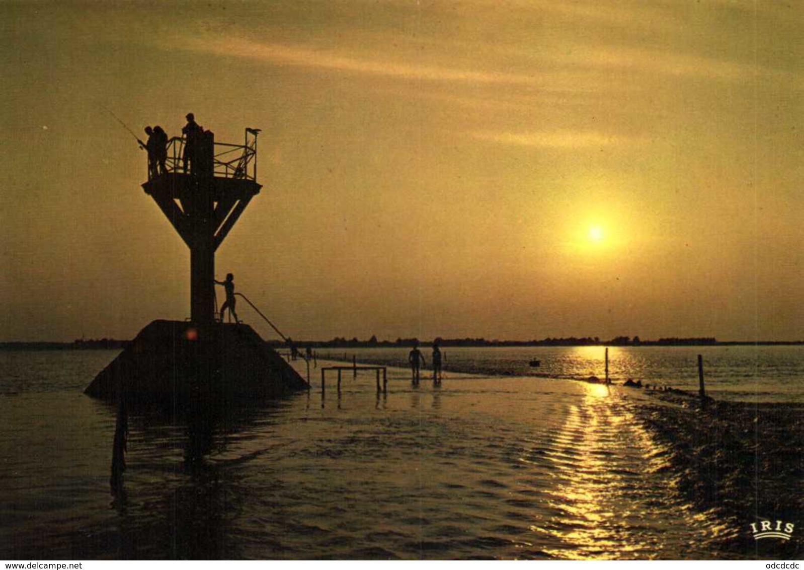 ILE DE NOIRMOUTIER  Coucher De Soleil Sur Le Passage Du Gois Colorisée RV - Ile De Noirmoutier