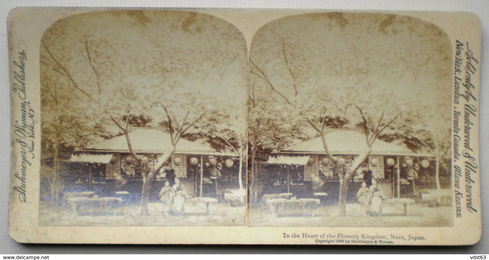 STEREOVIEW Japan NARA 1896 In The Heart Of The Flowery Kingdom Royaume Des Fleurs Underwood Stereoscopique Stereoscopic - Andere & Zonder Classificatie