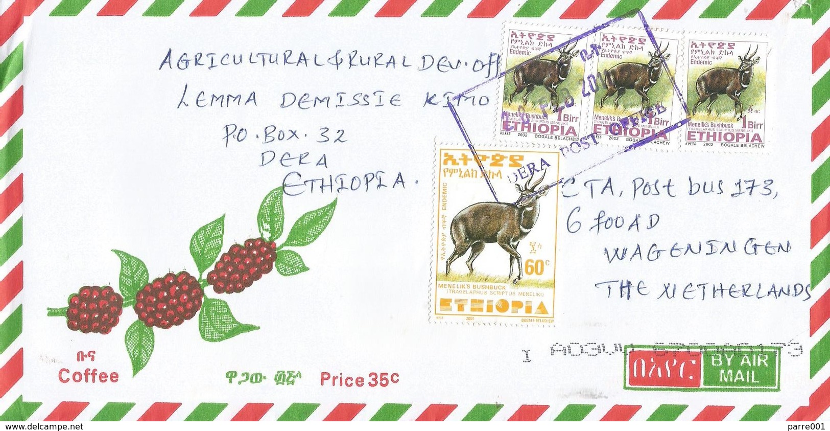 Ethiopia 2011 Dera Bushbuck Cover - Ethiopië