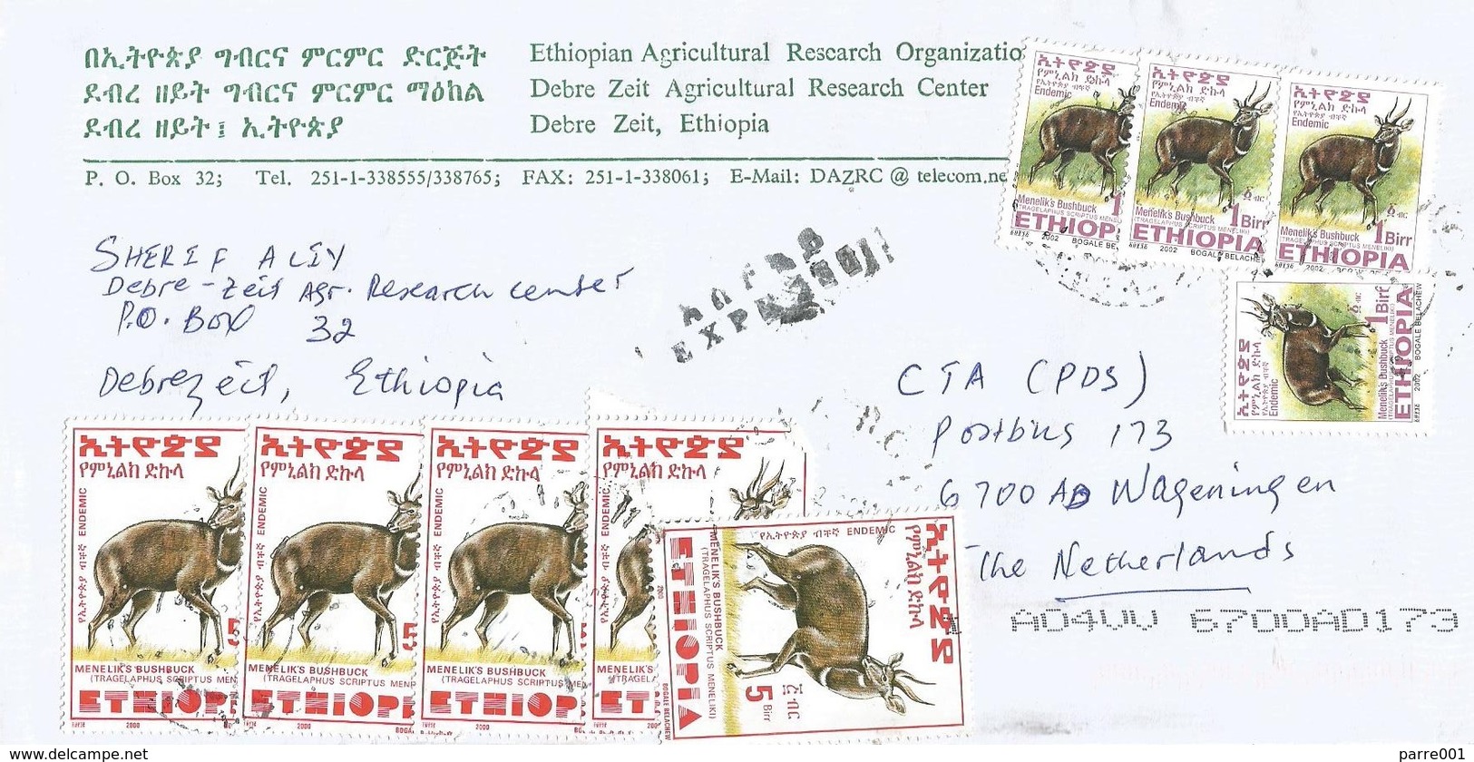 Ethiopia 2011 Debre Zeit Bushbuck Express Cover - Ethiopië