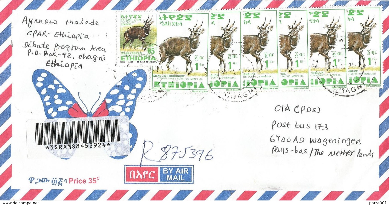 Ethiopia 2007 Chagni Bushbuck Registered Cover - Ethiopië