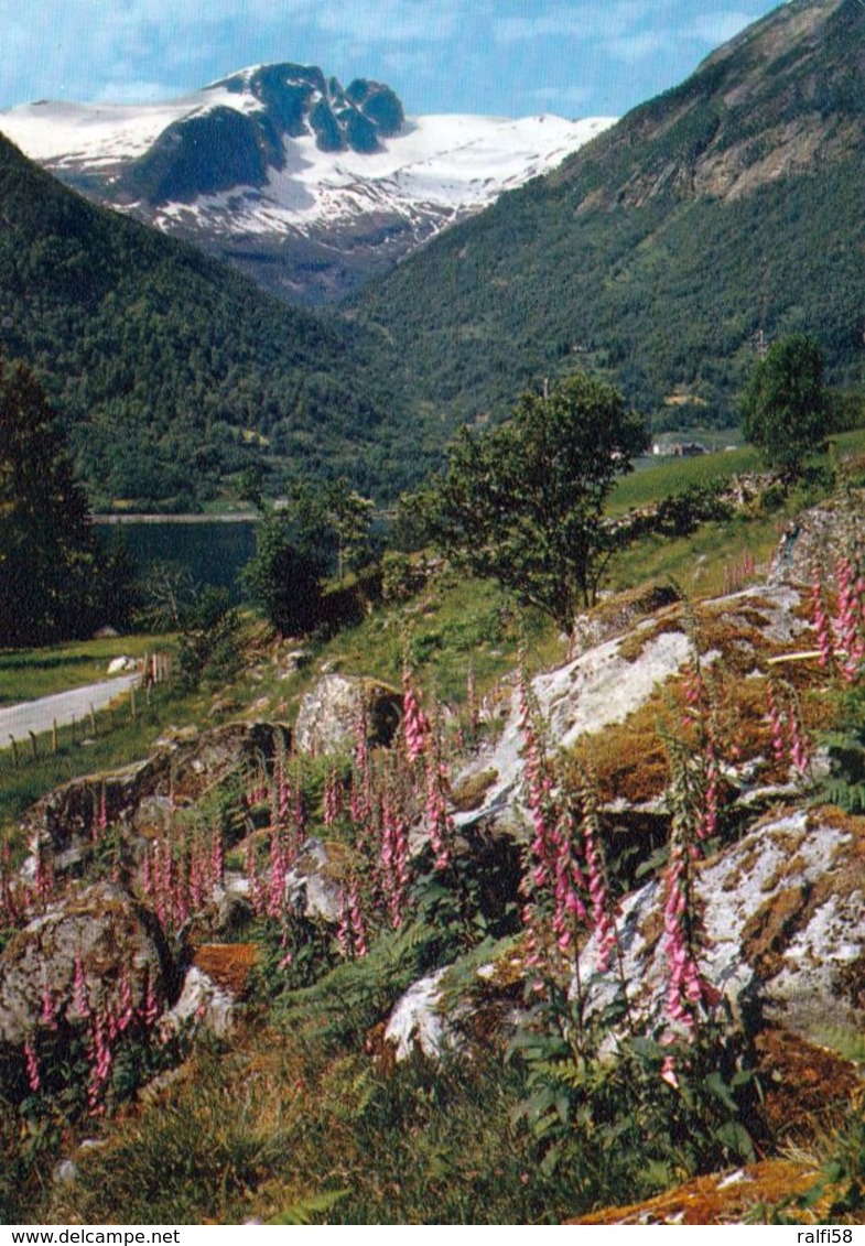 1 AK Norwegen * Blick Auf Balestrand Im Sognefjord * - Norwegen