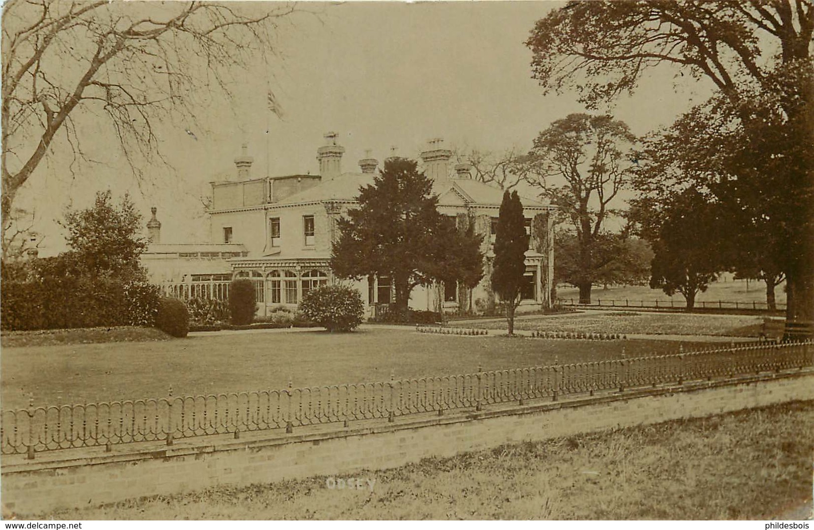 ANGLETERRE  ODSEY ( Carte Photo) - Andere & Zonder Classificatie