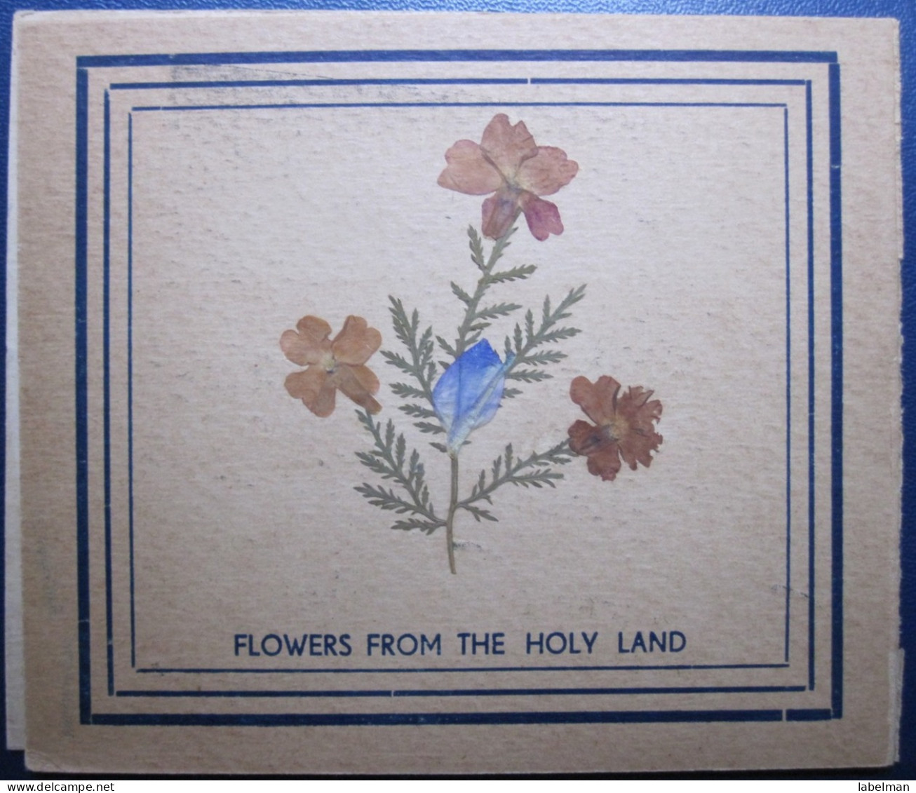 DRY FLOWERS HOLY LAND CHRISTMAS NEW YEAR CARD STAMPS ISRAEL PALESTINE POST VINTAGE POSTCARD TOURISM PHOTO - Israel