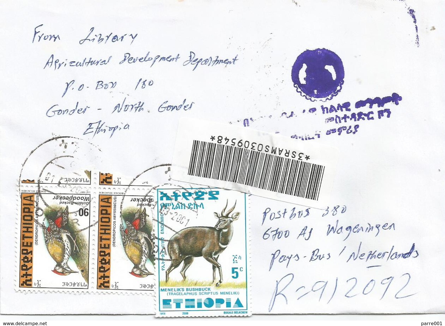 Ethiopia 2001 Gondar Woodpecker Bushbuck Registered Cover - Ethiopië