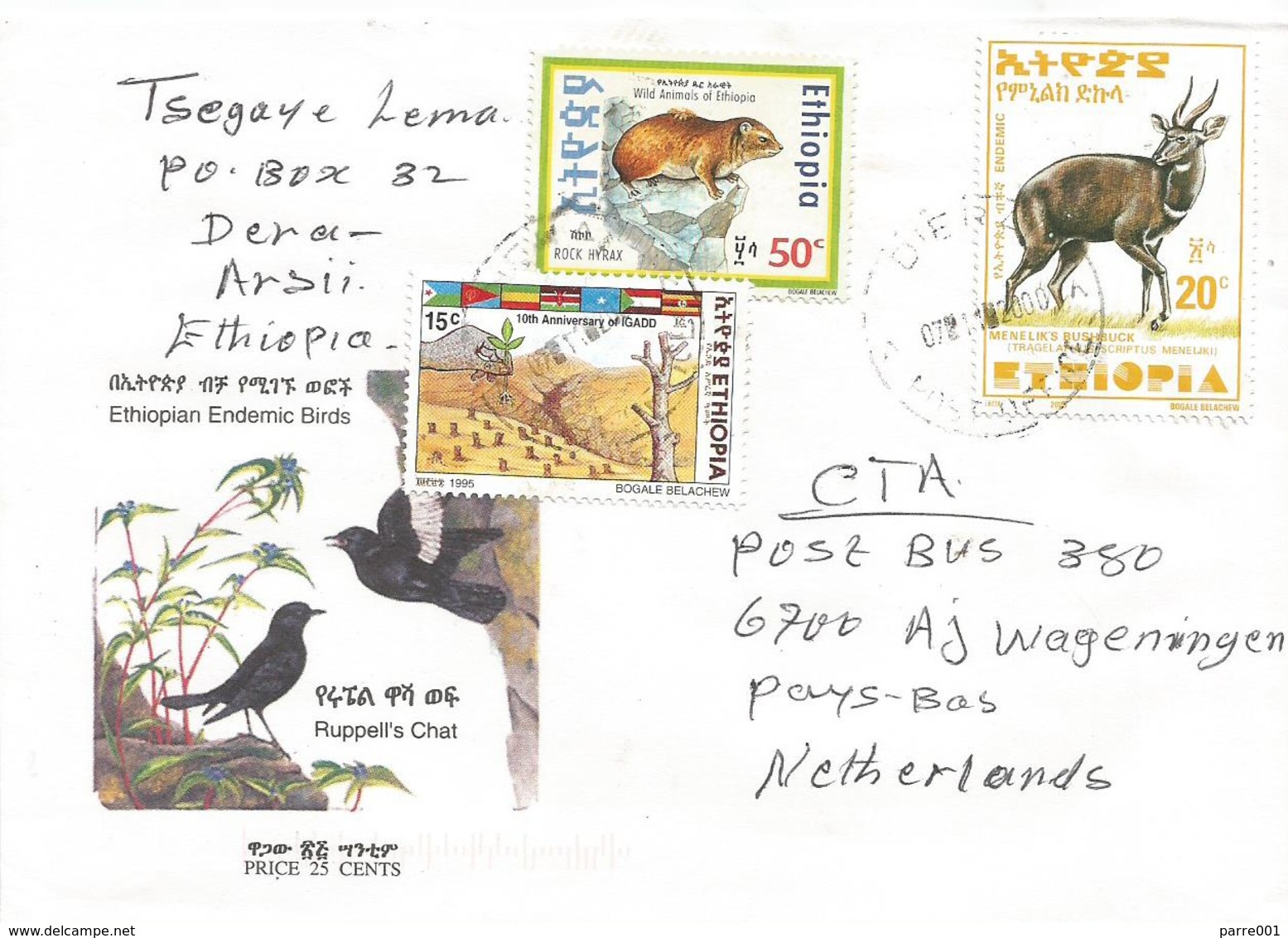 Ethiopia 2000 Diera Rock Hyrax Deforestation Tree Planting Bushbuck Cover - Ethiopië