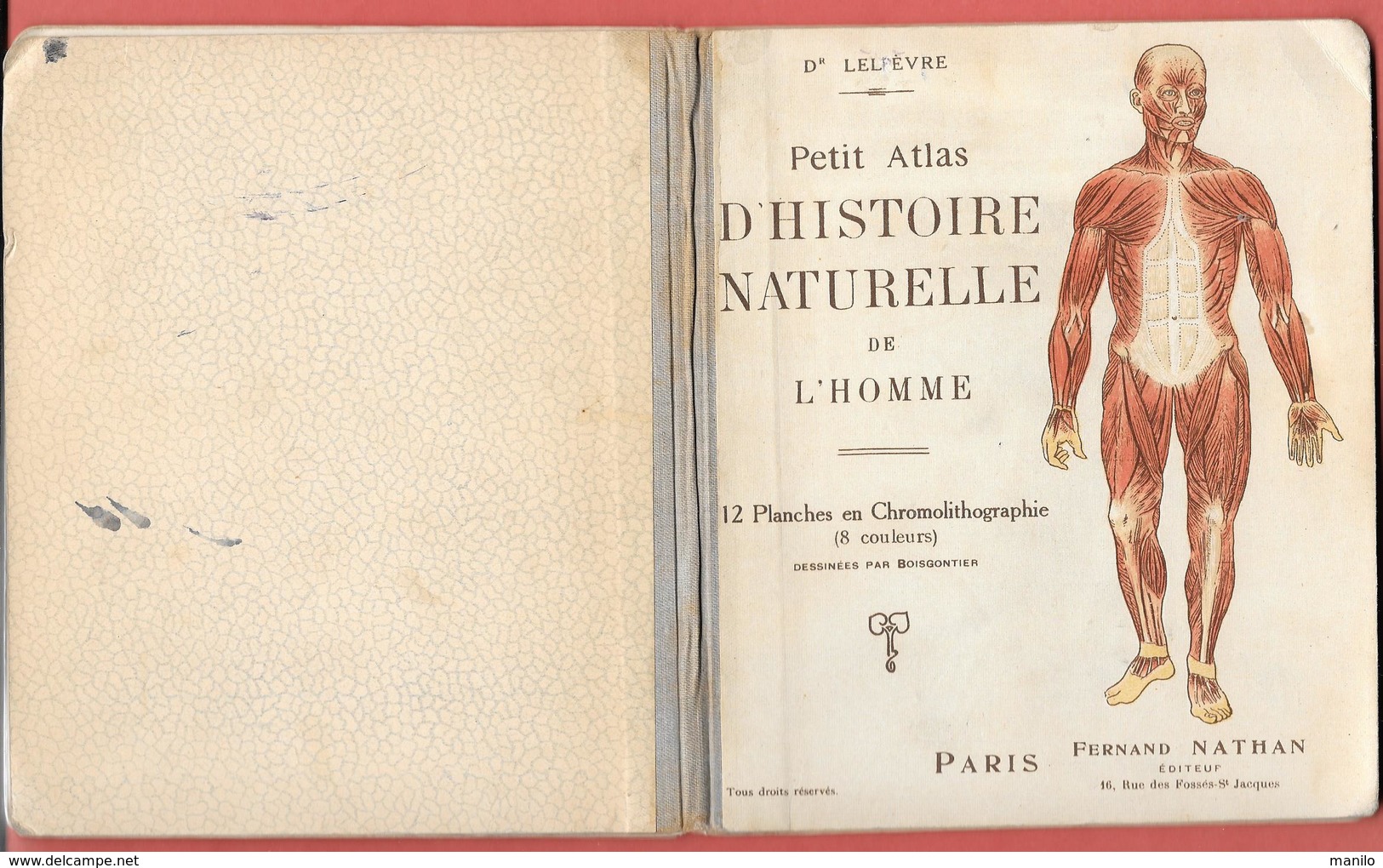 Petit ATLAS D'HISTOIRE NATURELLE De L'HOMME -par Dr LELIEVRE -F.NATHAN Edit -16 Planches Chromolithographiées BOISGONTI - Health