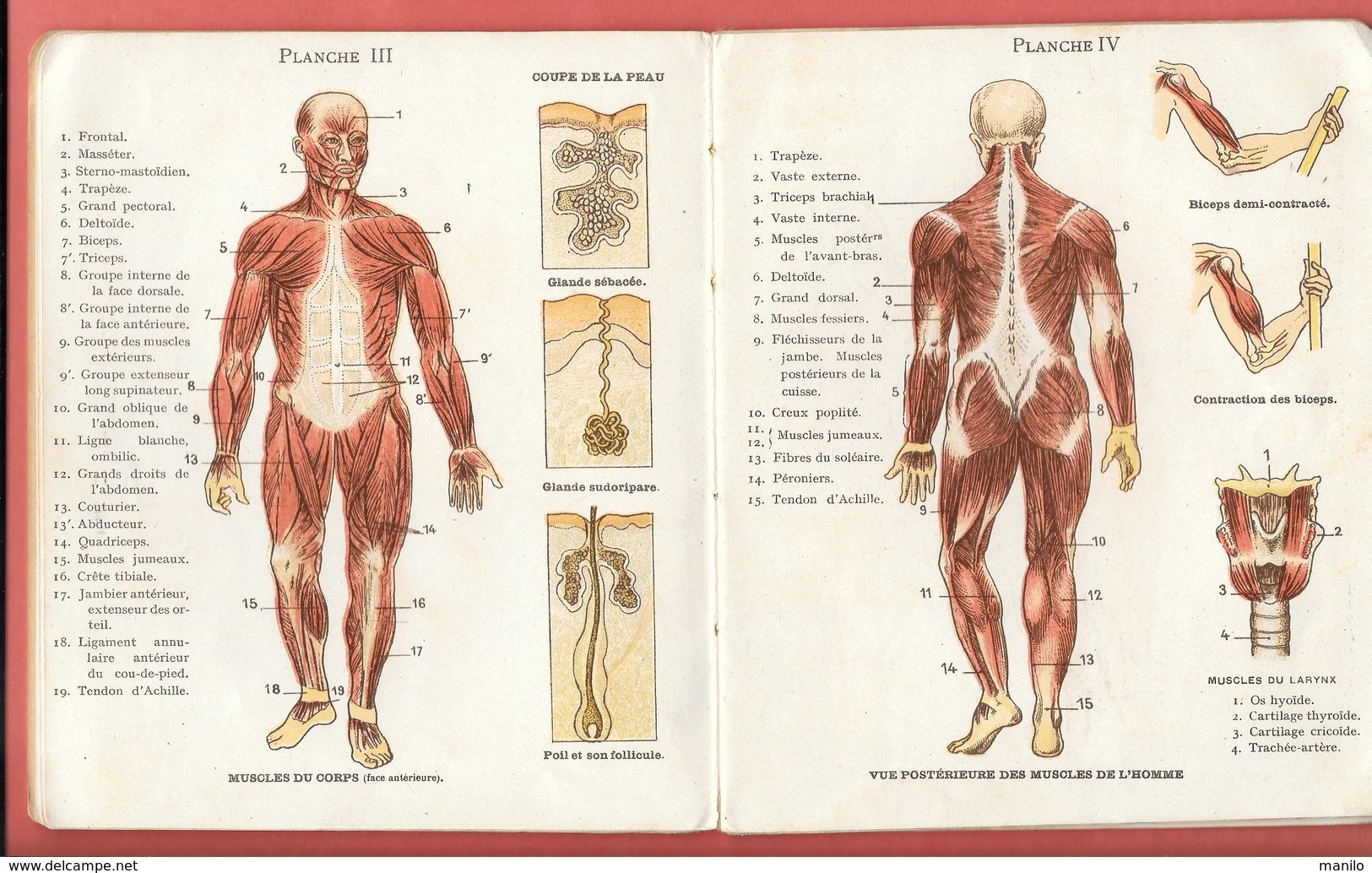 Petit ATLAS D'HISTOIRE NATURELLE De L'HOMME -par Dr LELIEVRE -F.NATHAN Edit -16 Planches Chromolithographiées BOISGONTI - Health