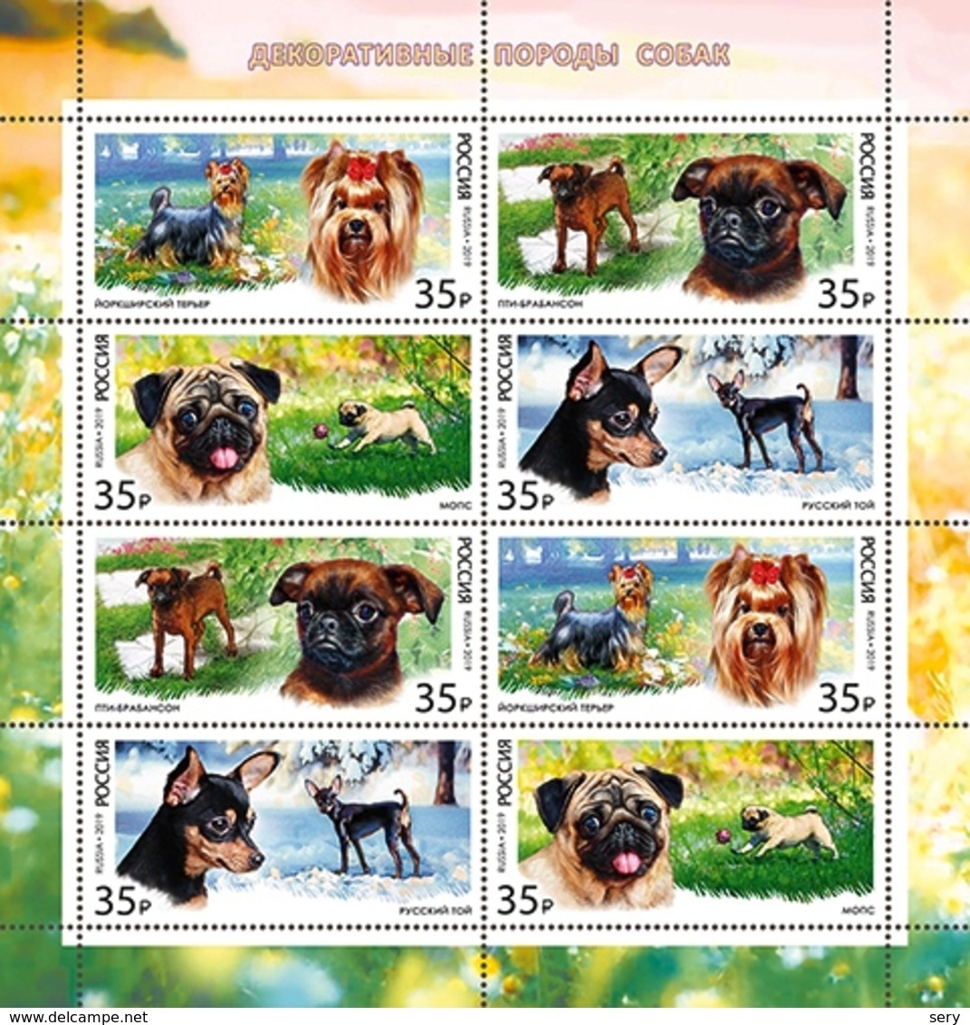 Russia 2019 Sheetlet 8 V MNH Decorative Dog Breeds Dogs Chiens Chien Hund - Chiens