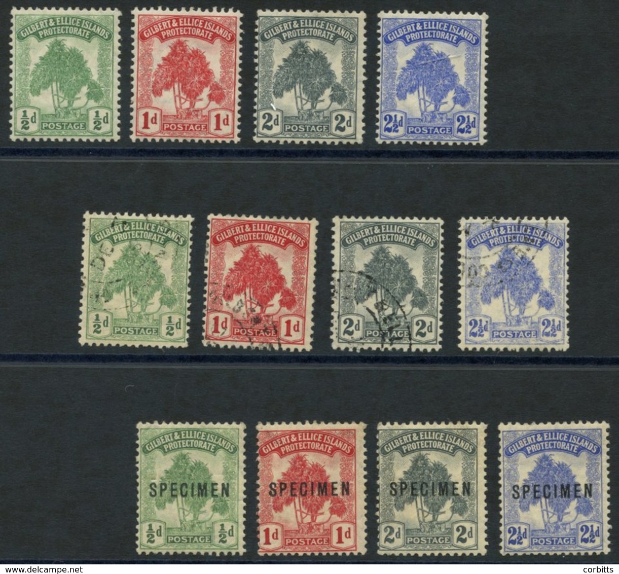 1911 Pandanus Pine Set M, Another FU & Another Optd SPECIMEN, SG.9/11, 9s/11s. (12) Cat. £250. - Autres & Non Classés