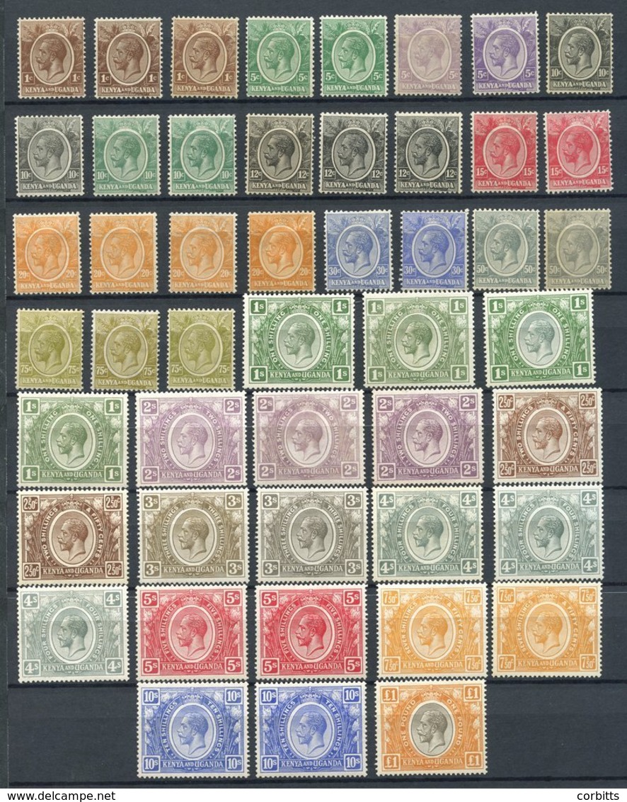 KENYA & UGANDA 1922-27 MSCA 1c To £1 Set Plus Several Extra Shades, Generally Fine M, From SG.76/95. (48) Cat. £1100 - Autres & Non Classés