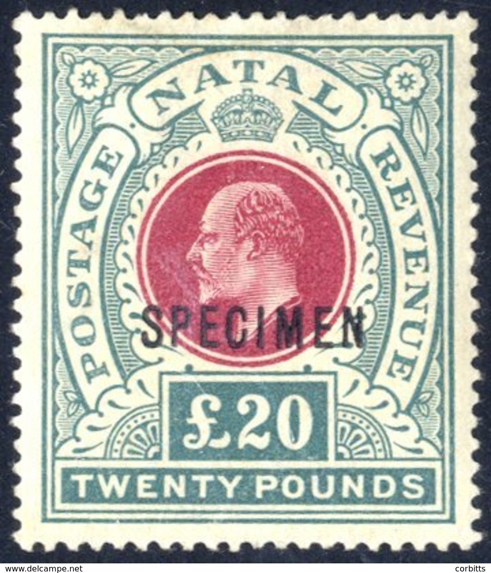 1902 CCC £20 Red & Green Ovptd 'SPECIMEN' (Samuel Type D12a), Fine With Toned Gum, SG.145bs. (1) Cat. £650 - Sonstige & Ohne Zuordnung