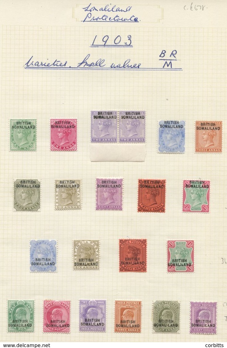 1903-60 Fine M Collection On Leaves Incl. 1903 June To 1r, 1903 Sept To 1r, 1910 KEVII ½a To 8a, Also ½a To 8a In Horizo - Sonstige & Ohne Zuordnung