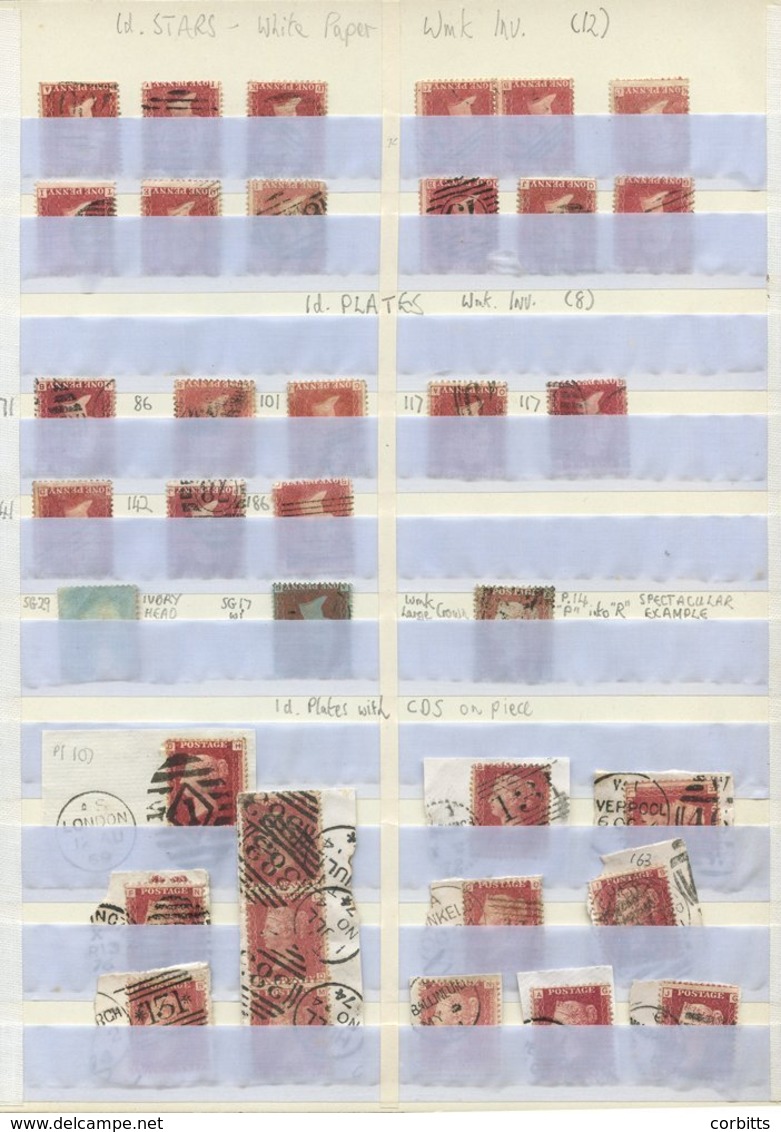 1850's-60's Range Of 1d Stars With Inverted Wmks (12), 1d Plates With Inverted Wmks (8), Large Crown P.14 'P Converted T - Autres & Non Classés