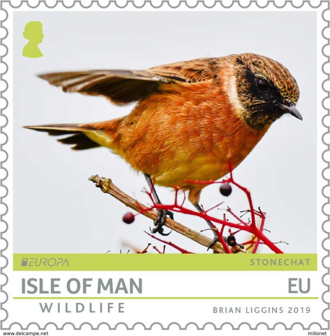 ISLE OF MAN INSEL MAN 2019 EUROPA BIRDS Stamp MNH ** - 2019