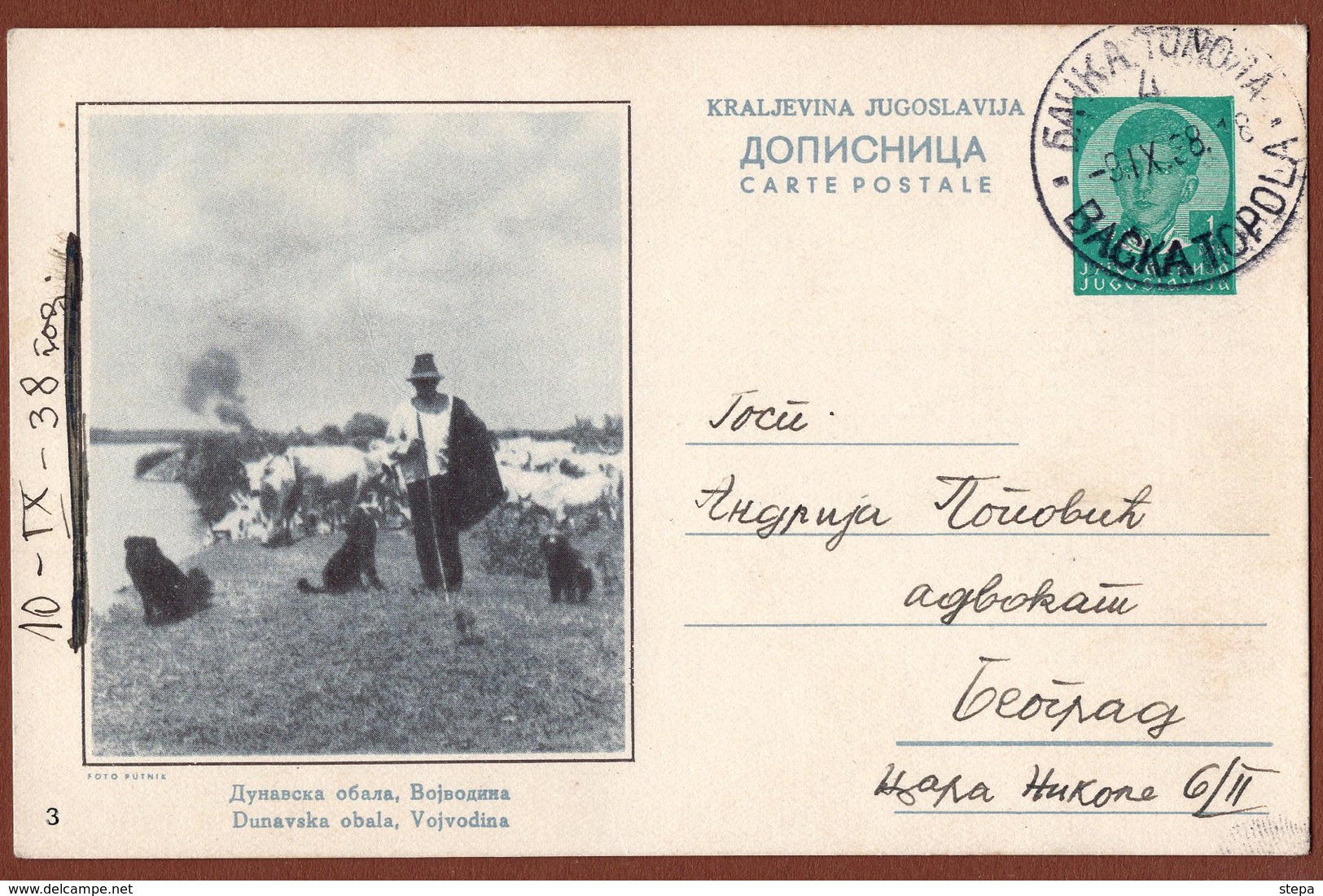 YUGOSLAVIA-SERBIA, VOJVODINA-STOCKRIDER-DOG, 4th EDITION ILLUSTRATED POSTAL CARD - Ganzsachen
