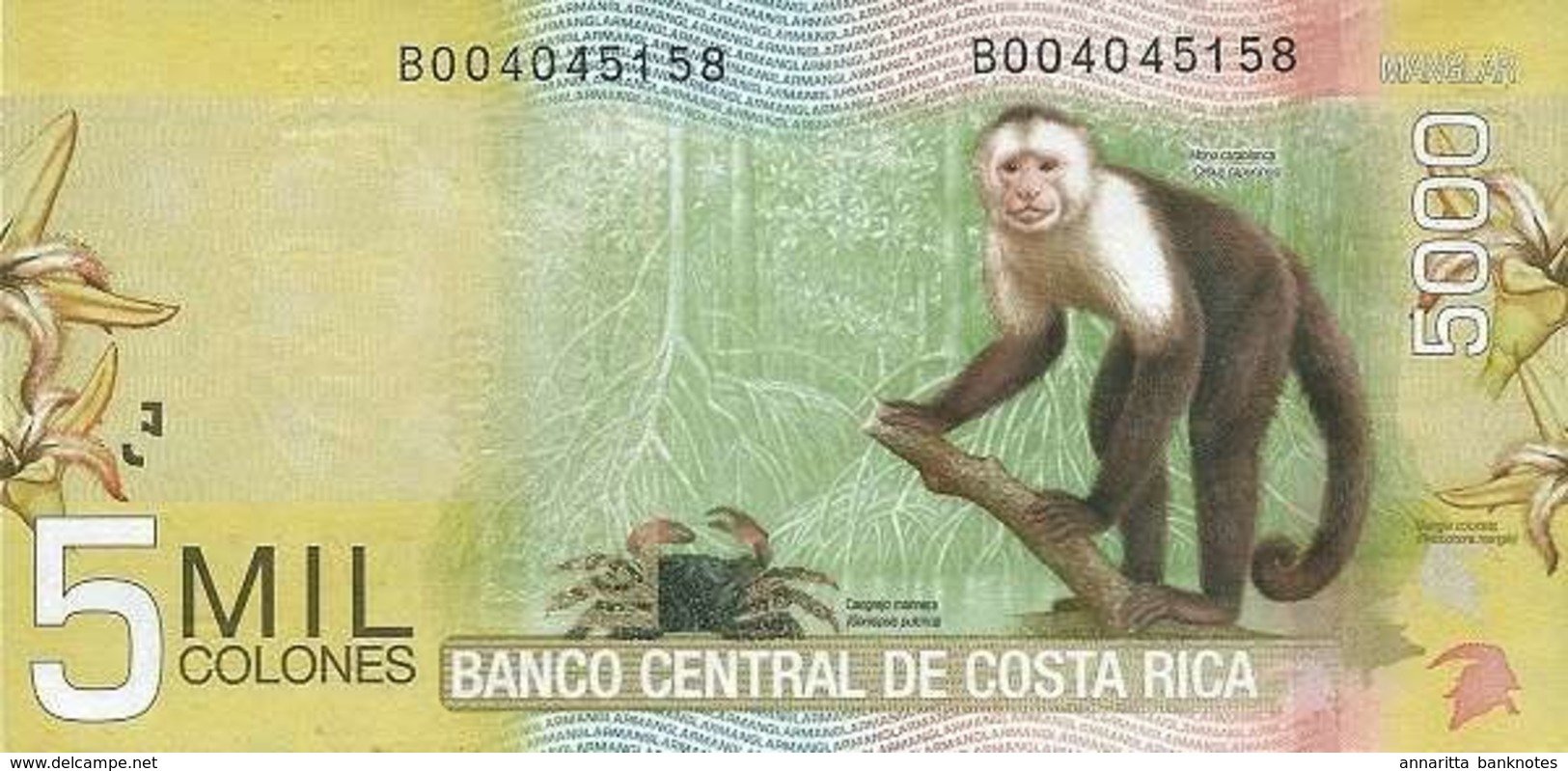 COSTA RICA 5000 COLONES 2012 P-276b UNC SERIE B. [CR560b] - Costa Rica