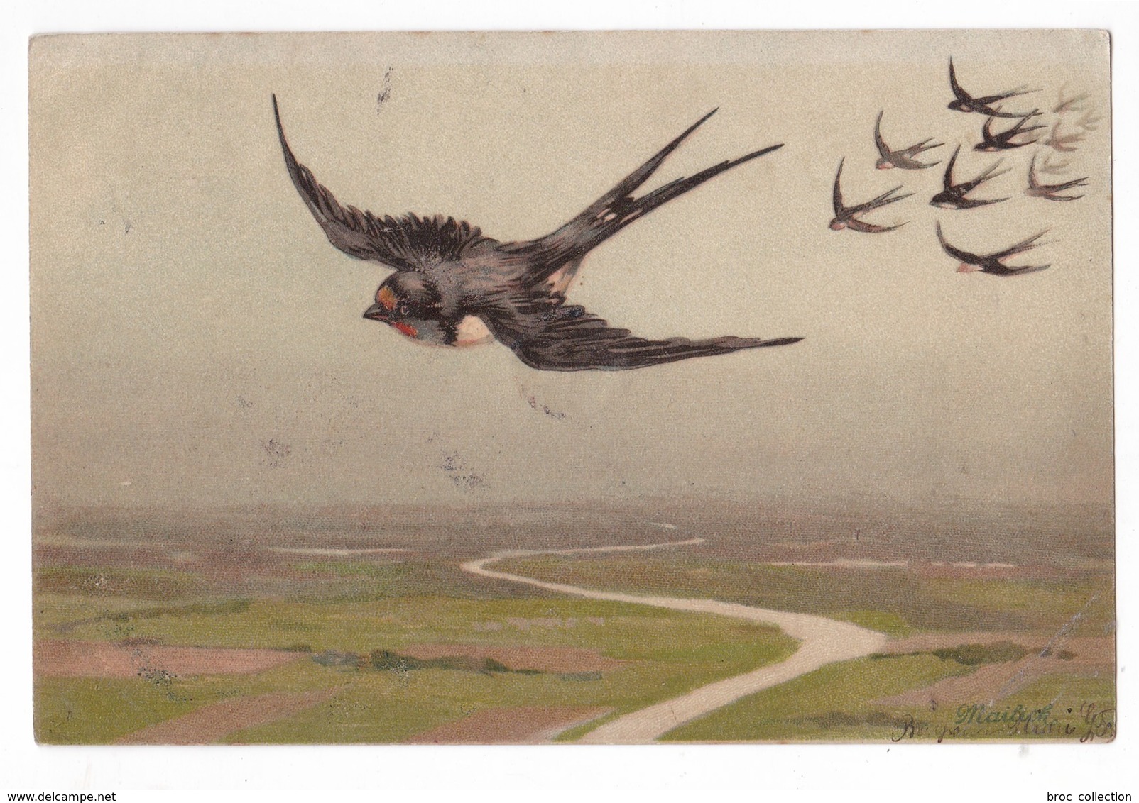 Illustrateur Alfred Mailick, Hirondelles, Oiseaux, 1905, éd. WW N° 5669 - Mailick, Alfred