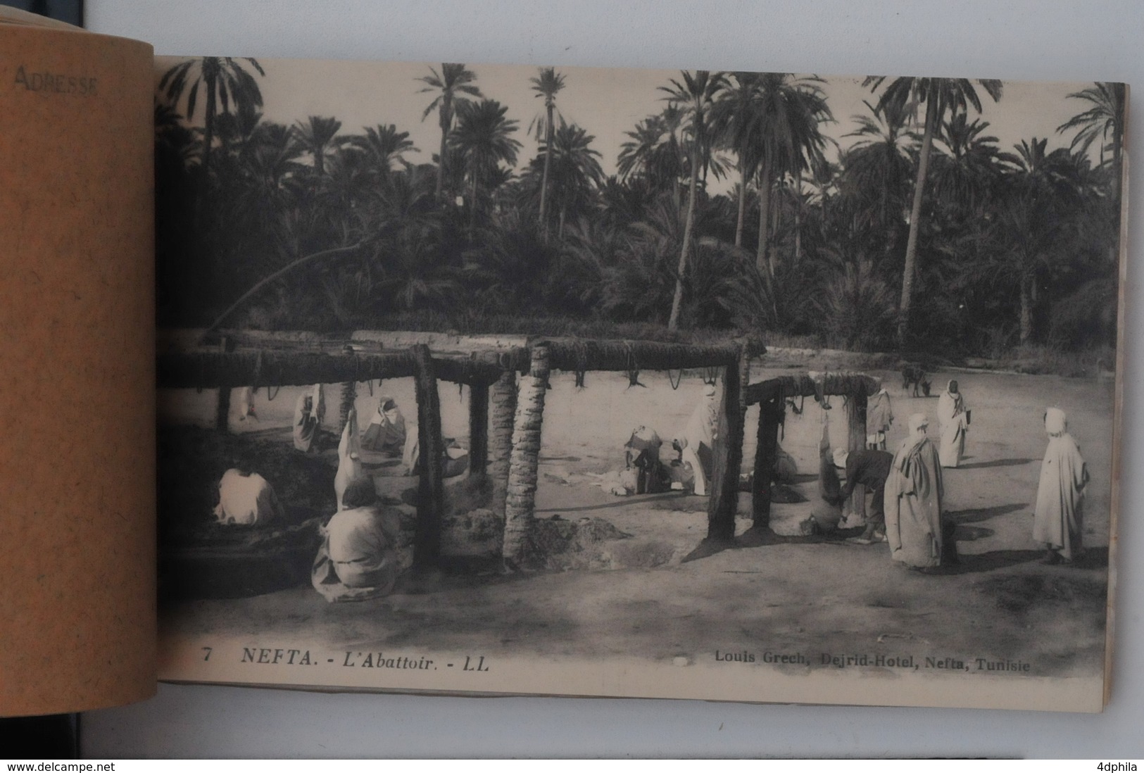 Nefta 1910 - livret souvenir 24 cartes postales animées TTB