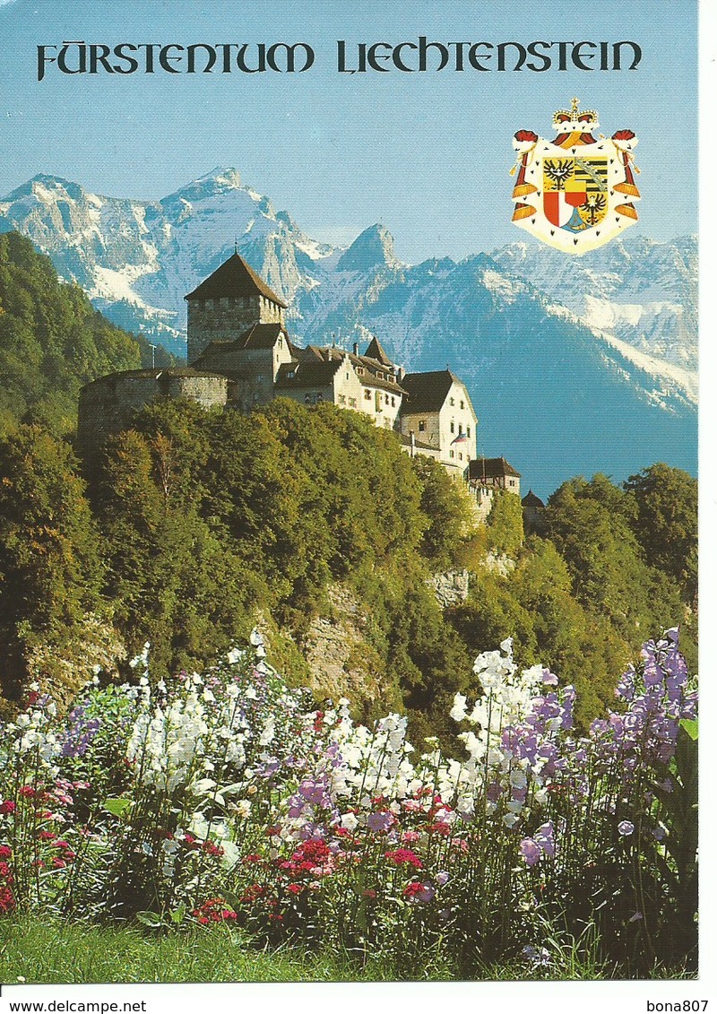 (a) Liechtenstein : Chateau De  Vaduz - Liechtenstein