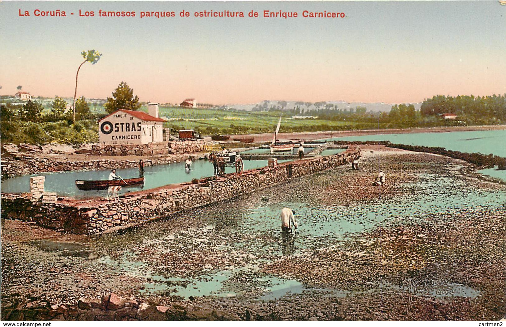 LA CORUNA LOS FAMOSOS PARQUES DE OSTRICULTURA ENRIQUE CARNICERO ESPANA PHOTOCHROME 1900 - La Coruña