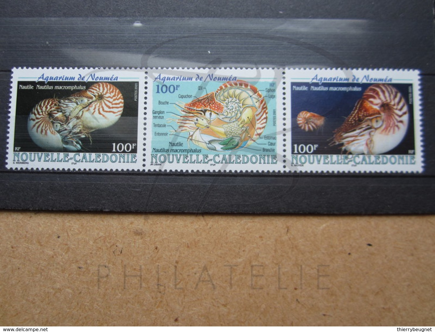 VEND BEAUX TIMBRES DE NOUVELLE-CALEDONIE N° 840 - 842 , XX !!! - Nuevos