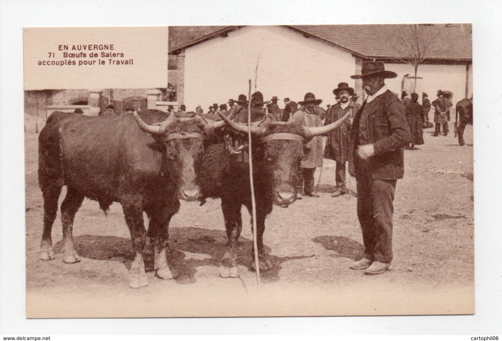 - CPA EN AUVERGNE - Boeufs De Salers Accouplés Pour Le Travail - Edition LABORIE N° 71 - - Auvergne