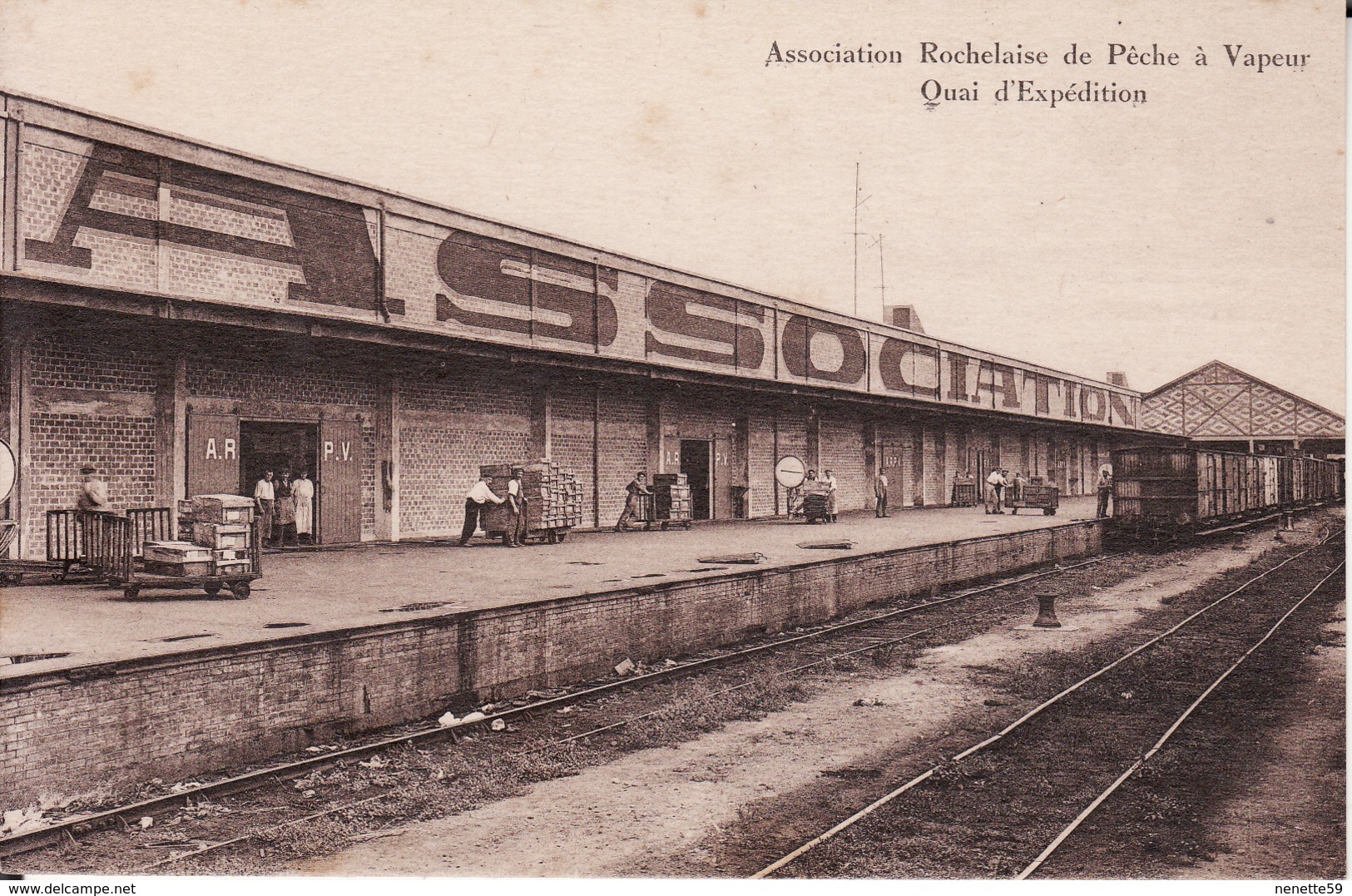 17 LA ROCHELLE -- Association Rochelaise De Pêche à Vapeur -- Quai D' Expédition - La Rochelle