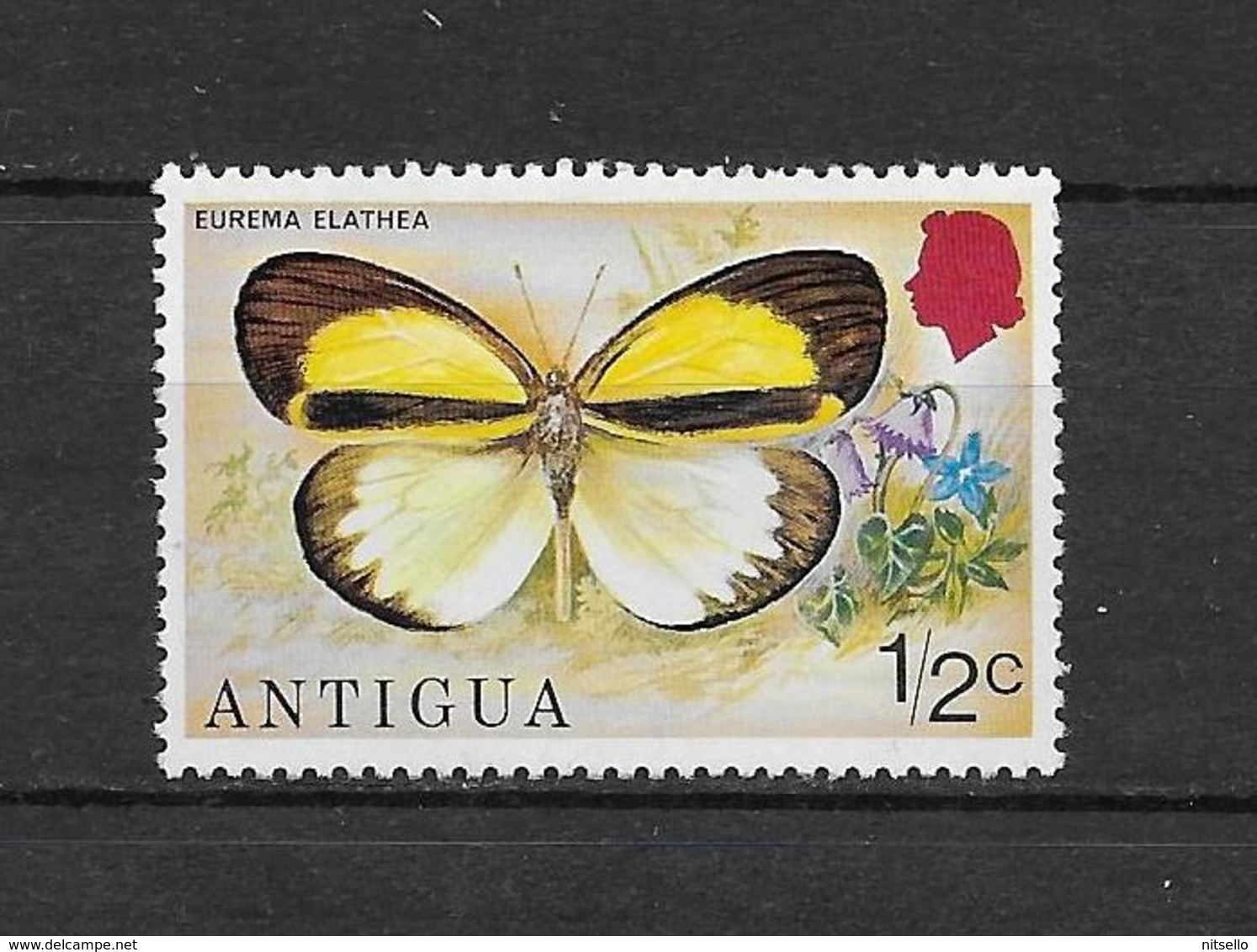 LOTE 1841  ///  ANTIGUA  **MNH - 1858-1960 Colonia Británica