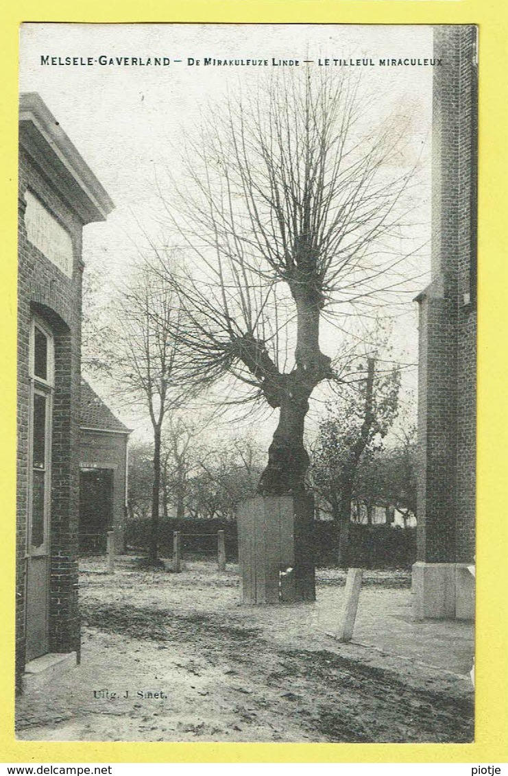 * Melsele (Beveren Waas - Gaverland) * (Uitg J. Smet) Mirakuleuze Linde, Le Tilleul Miraculeux, Arbre, Tree, Boom, TOP - Beveren-Waas