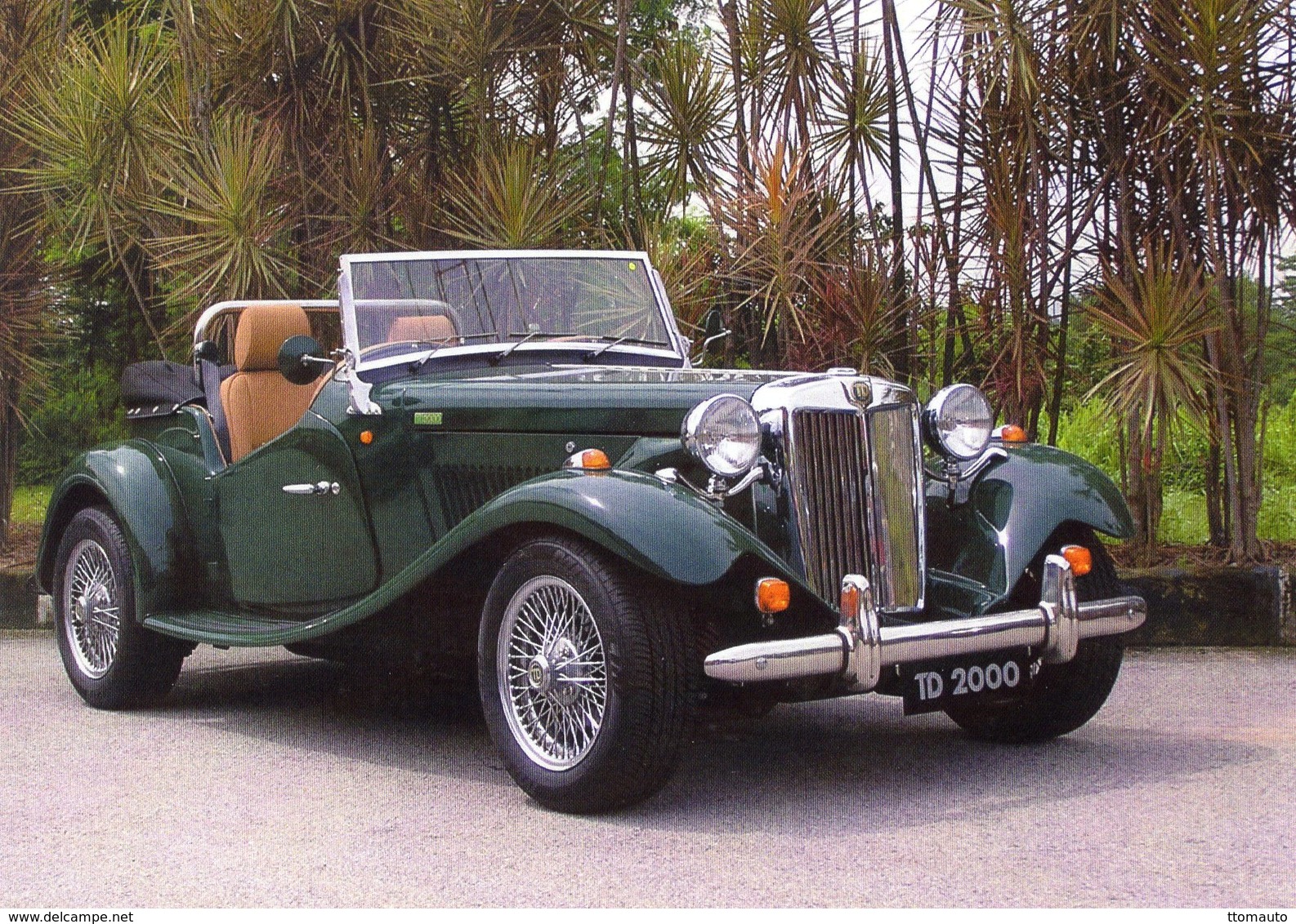 MG TD Replica   -  Carte Postale - PKW