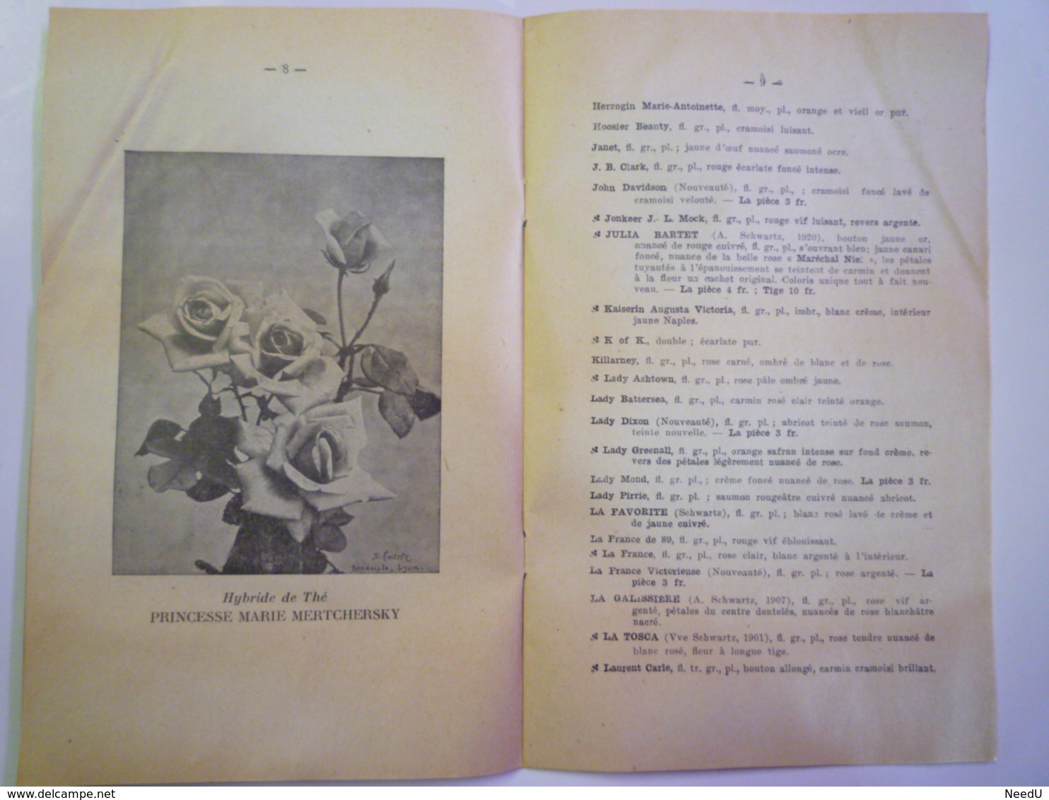 GP 2019 - 513  CATALOGUE  "ROSIERS  André SCHWARTZ"  1924  (Vénissieux-les-Lyon)   XXX - Unclassified